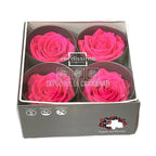 Trandafiri Criogenati PREMIUM BRIGHT PINK (Ø7-8,5cm; set 4 buc) - DepozituldeCriogenati.ro