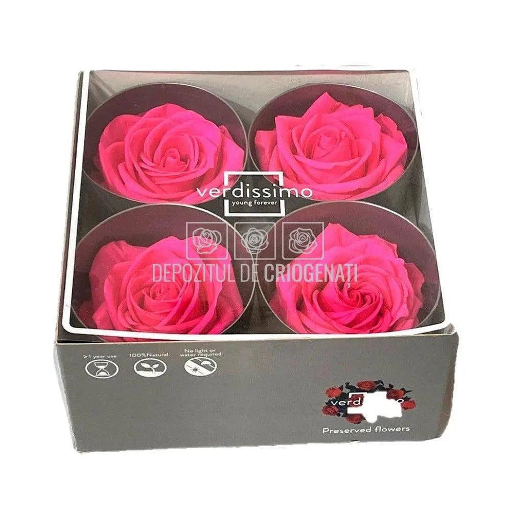 Trandafiri Criogenati PREMIUM BRIGHT PINK (Ø7-8,5cm; set 4 buc) - DepozituldeCriogenati.ro