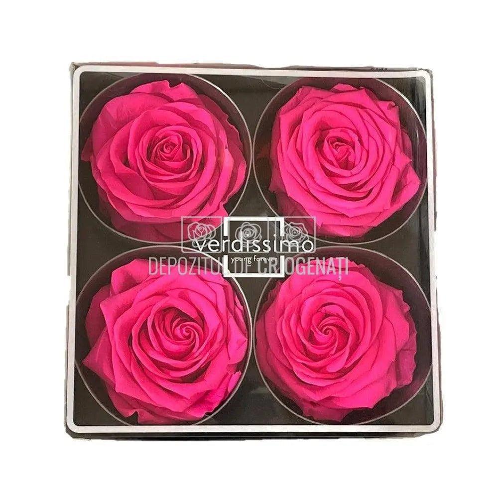 Trandafiri Criogenati PREMIUM BRIGHT PINK (Ø7-8,5cm; set 4 buc) - DepozituldeCriogenati.ro