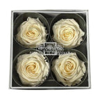 Trandafiri Criogenati PREMIUM CHAMPAGNE (Ø7-8,5cm; set 4 buc) - DepozituldeCriogenati.ro
