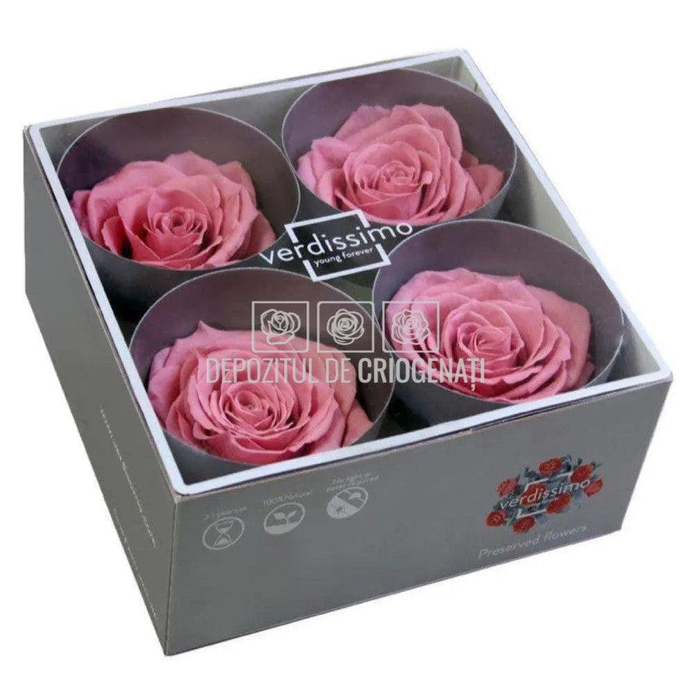 Trandafiri Criogenati PREMIUM CHERRY BLOSSOM (Ø7-8,5cm; set 4buc) - DepozituldeCriogenati.ro