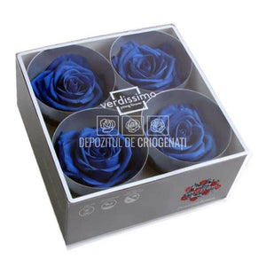 Trandafiri Criogenati PREMIUM DARK BLUE Ø7-8,5cm; set 4 buc/cutie - DepozituldeCriogenati.ro