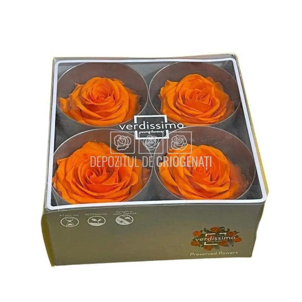 Trandafiri Criogenati PREMIUM ORANGE (Ø7-8,5cm; set 4 buc) - DepozituldeCriogenati.ro