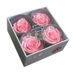 Trandafiri Criogenati PREMIUM PASTEL PINK (Ø7-8,5cm; set 4 buc) - DepozituldeCriogenati.ro