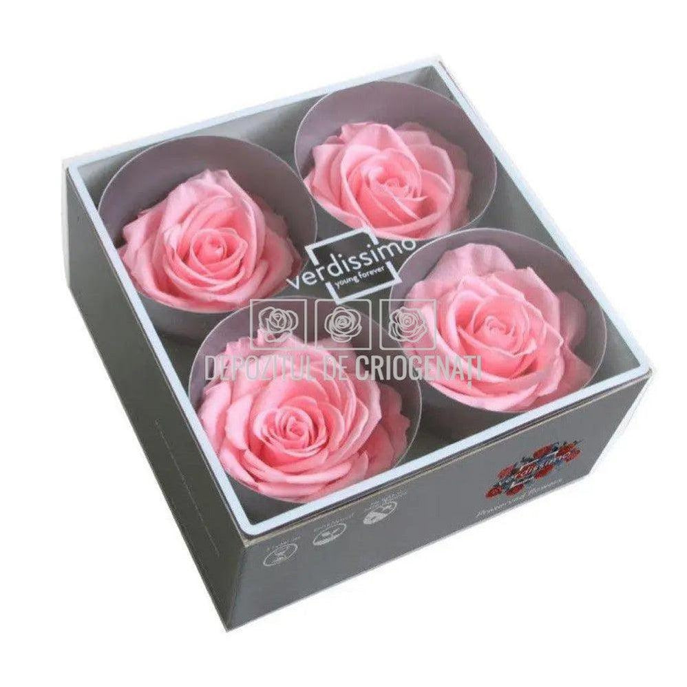Trandafiri Criogenati PREMIUM PASTEL PINK (Ø7-8,5cm; set 4 buc) - DepozituldeCriogenati.ro