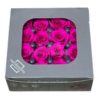 Trandafiri Criogenati PRINCESS BRIGHT PINK (Ø2,5-3cm, set 16 buc /cutie) - DepozituldeCriogenati.ro