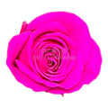 Trandafiri Criogenati PRINCESS BRIGHT PINK (Ø2,5-3cm, set 16 buc /cutie) - DepozituldeCriogenati.ro