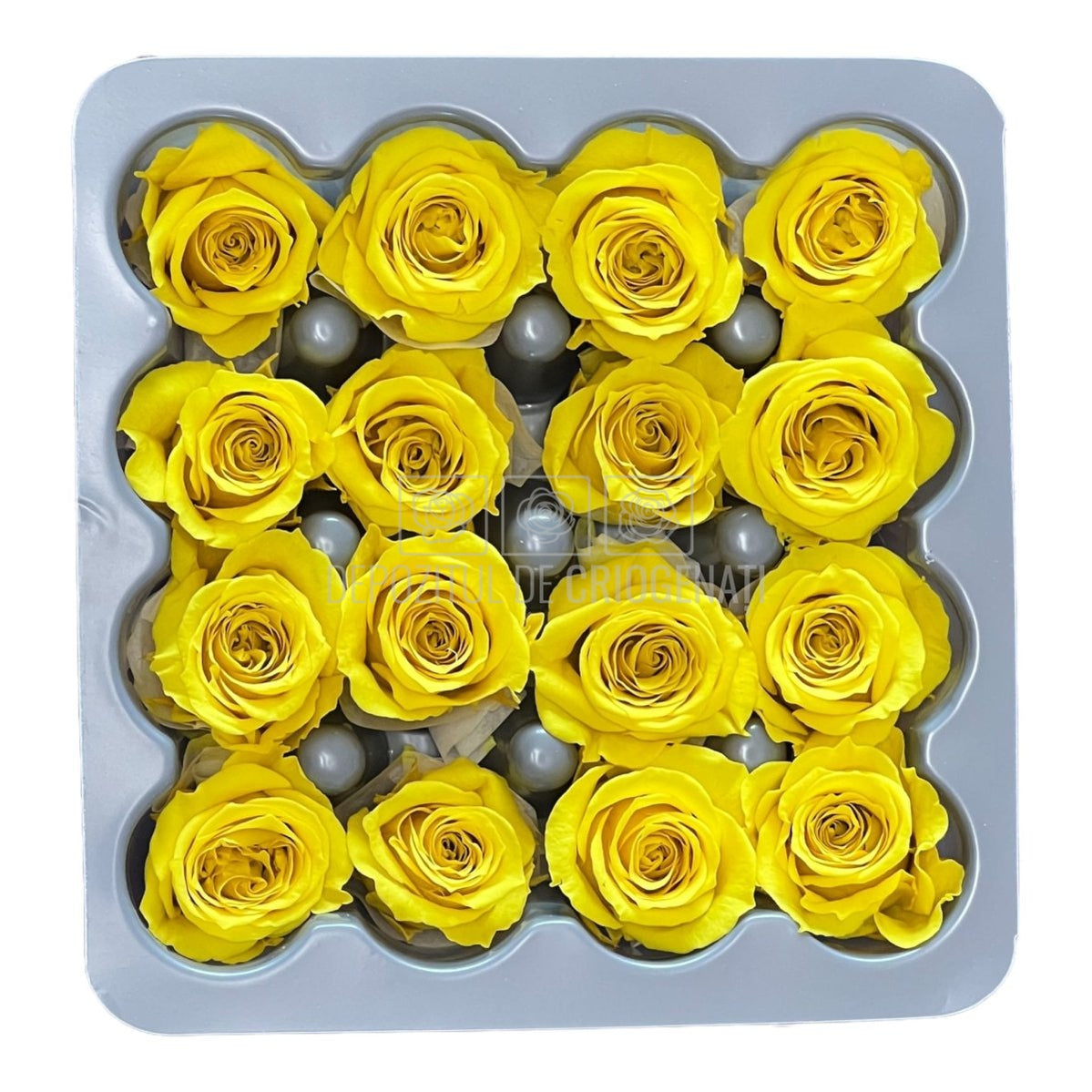 Trandafiri Criogenati PRINCESS BRIGHT YELLOW (Ø2,5-3cm, 16 buc) - DepozituldeCriogenati.ro