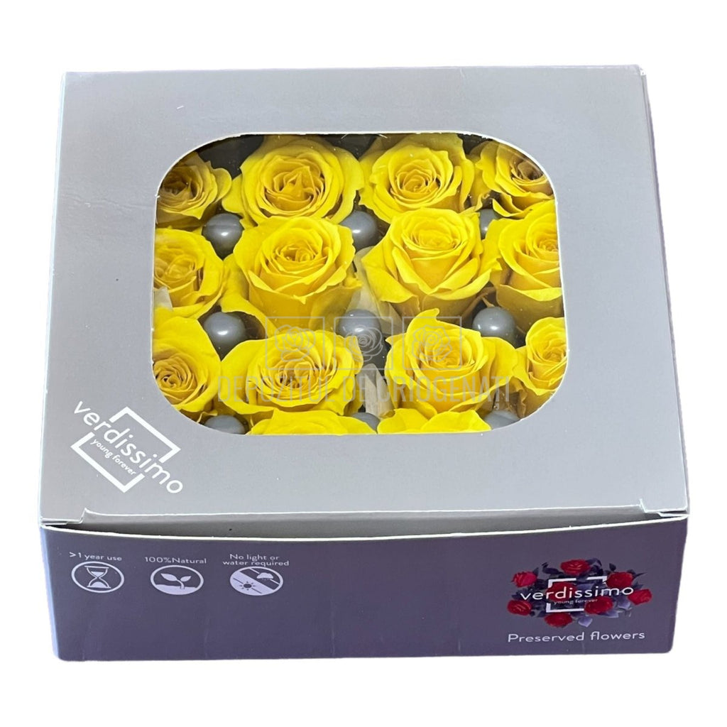 Trandafiri Criogenati PRINCESS BRIGHT YELLOW (Ø2,5-3cm, 16 buc) - DepozituldeCriogenati.ro