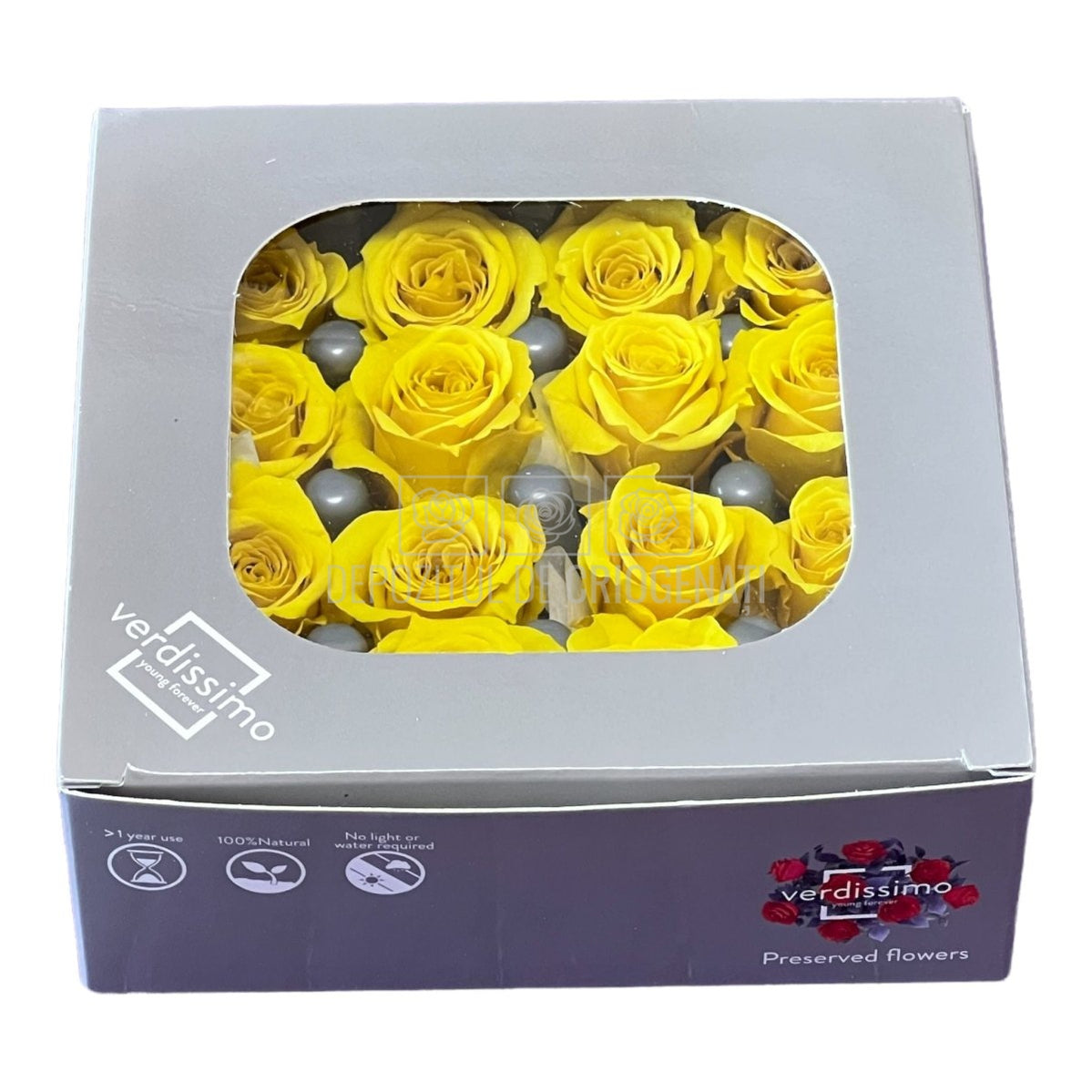 Trandafiri Criogenati PRINCESS BRIGHT YELLOW (Ø2,5-3cm, 16 buc) - DepozituldeCriogenati.ro