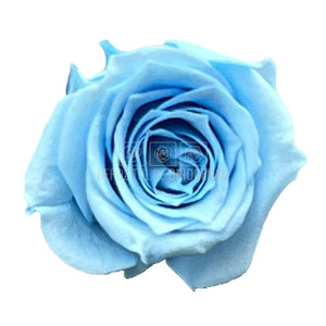 Trandafiri Criogenati PRINCESS LIGHT BLUE (Ø2,5-3cm, set 16 buc /cutie) - DepozituldeCriogenati.ro