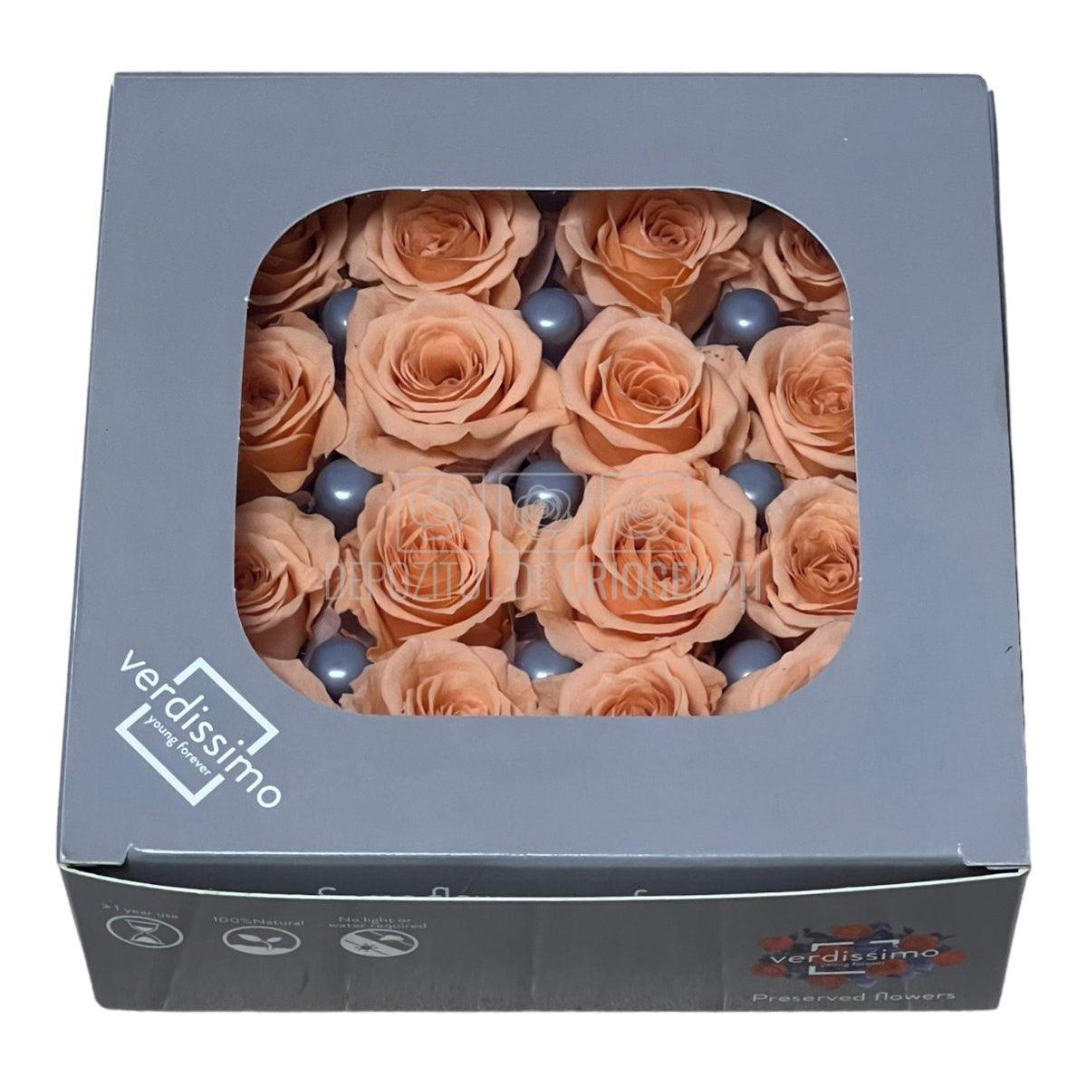 Trandafiri Criogenati PRINCESS PEACH (Ø2,5-3cm, set 16 buc /cutie) - DepozituldeCriogenati.ro