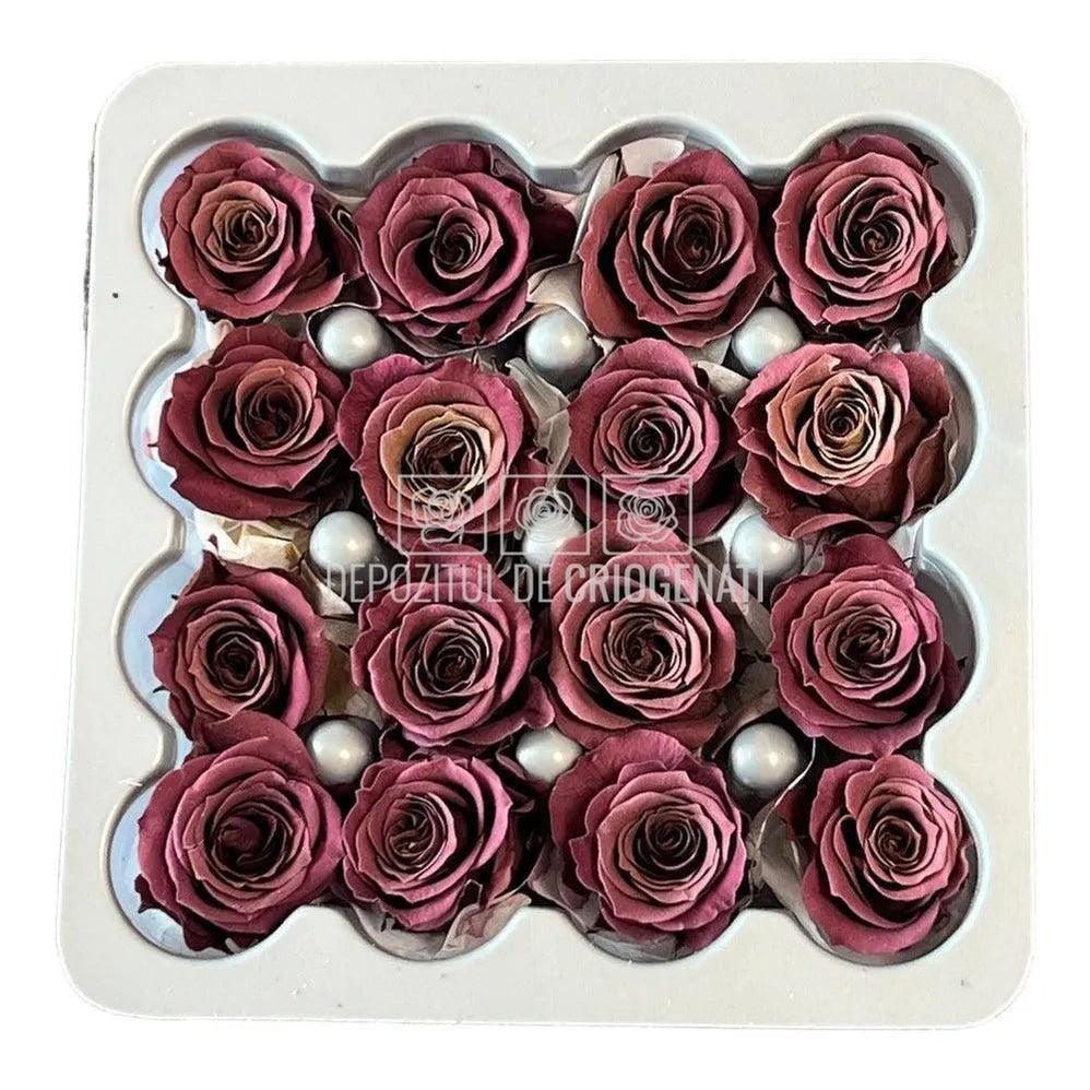 Trandafiri Criogenati PRINCESS PURPLE (Ø2,5-3cm, set 16 buc /cutie) - DepozituldeCriogenati.ro