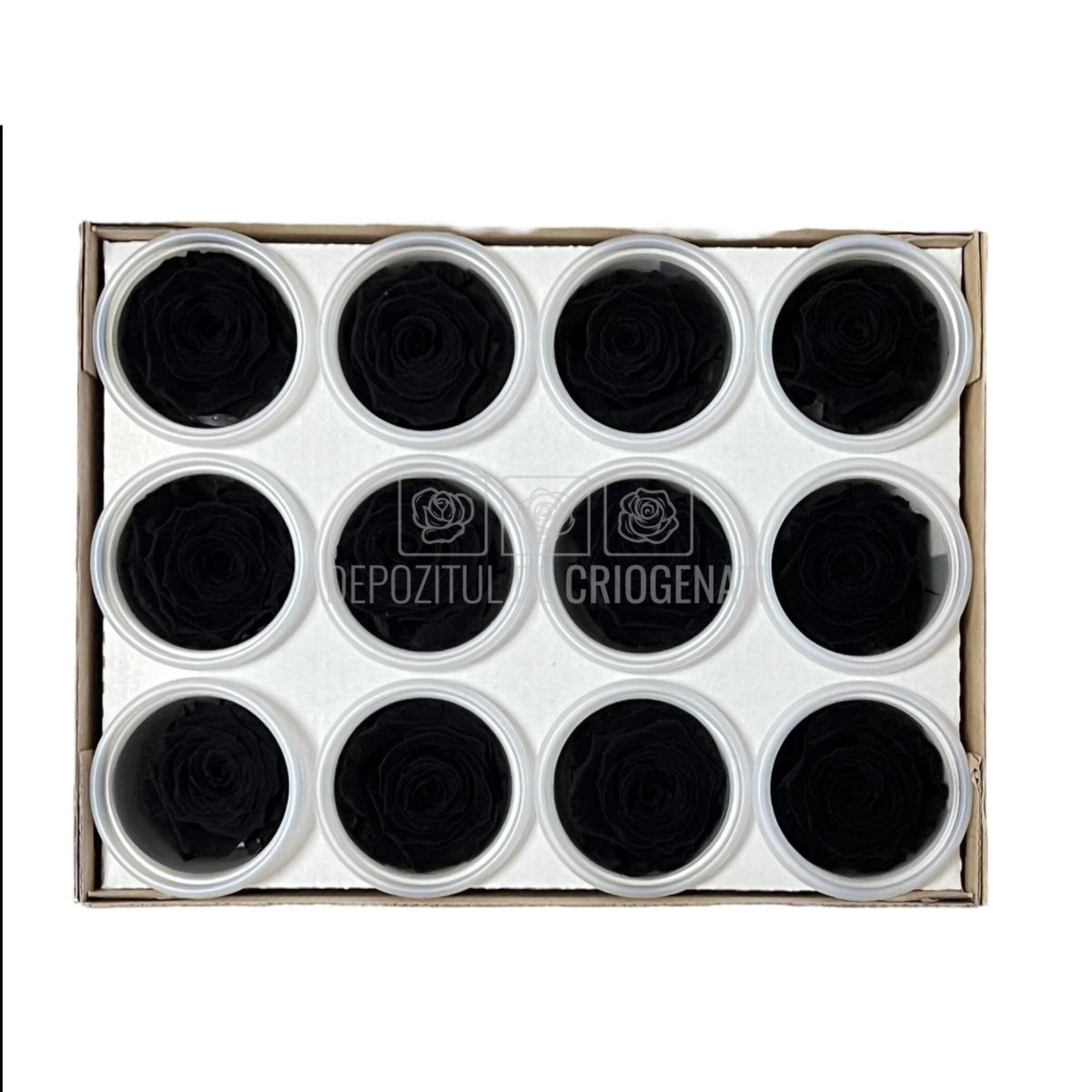 Trandafiri Criogenati S BLA-01 (Ø3-4cm, set 12 buc /cutie) - DepozituldeCriogenati.ro