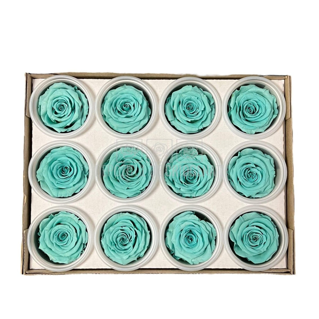 Trandafiri Criogenati S BLU-02 (Ø3-4cm, set 12 buc /cutie) - DepozituldeCriogenati.ro