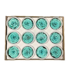 Trandafiri Criogenati S BLU-02 (Ø3-4cm, set 12 buc /cutie) - DepozituldeCriogenati.ro