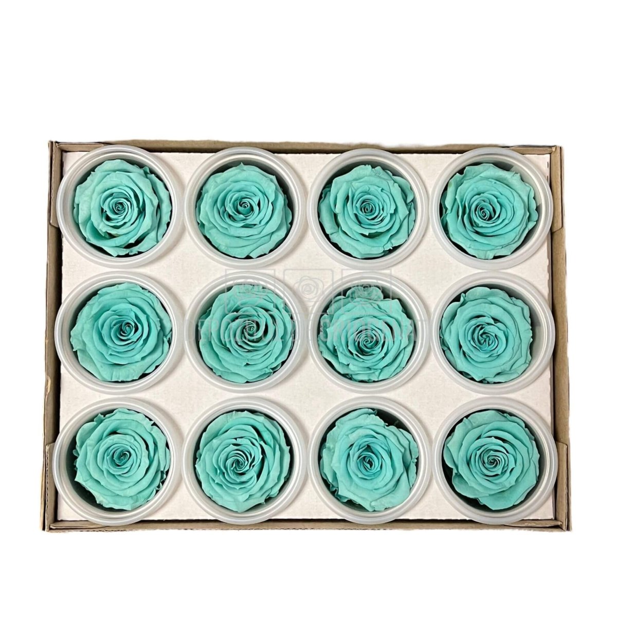 Trandafiri Criogenati S BLU-02 (Ø3-4cm, set 12 buc /cutie) - DepozituldeCriogenati.ro