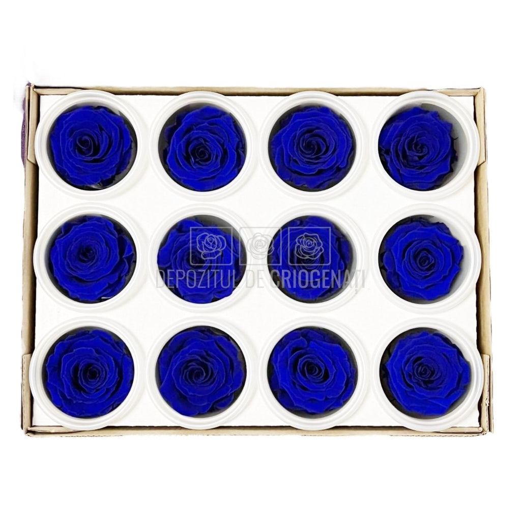 Trandafiri Criogenati S BLU-03 (Ø3-4cm, set 12 buc /cutie) - DepozituldeCriogenati.ro
