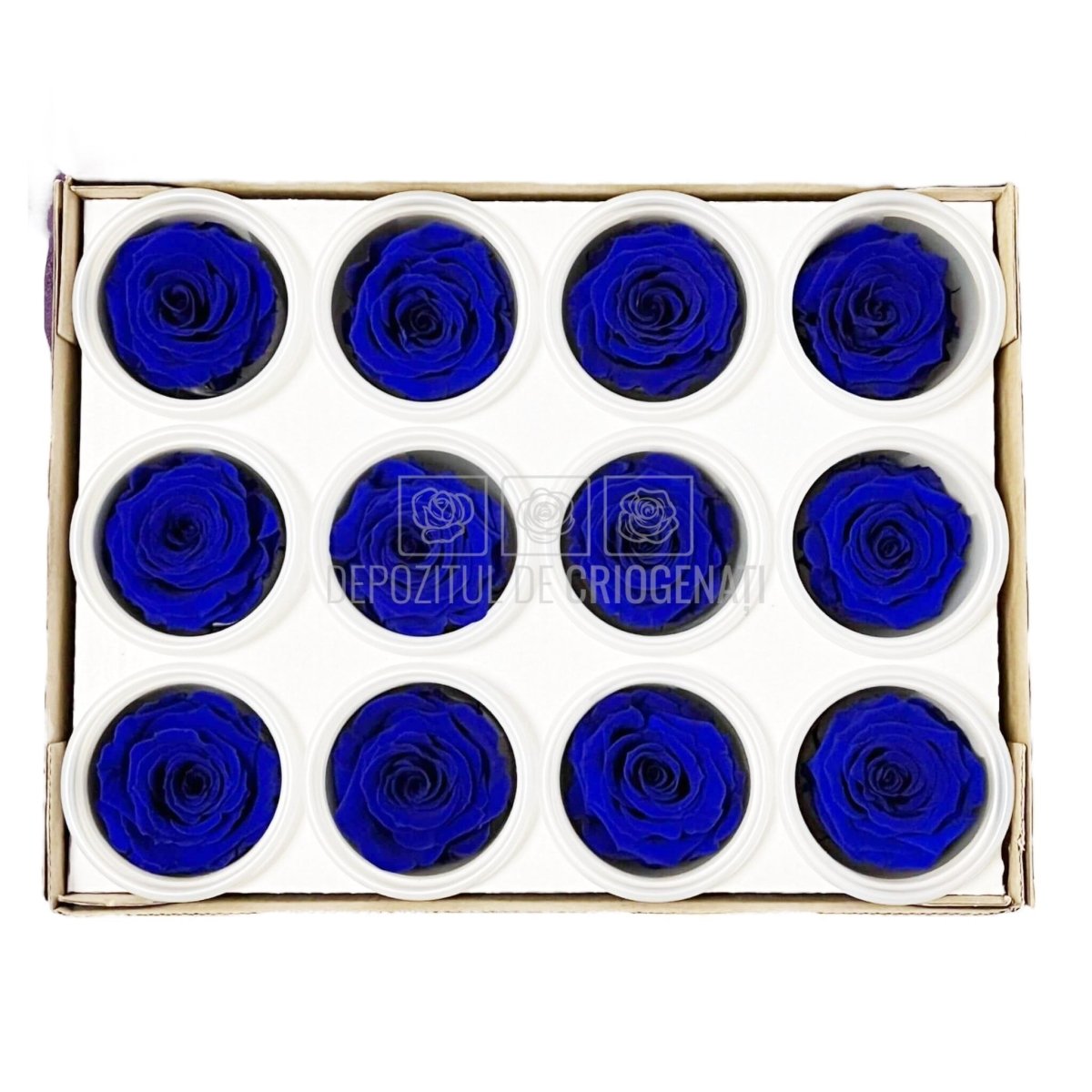 Trandafiri Criogenati S BLU-03 (Ø3-4cm, set 12 buc /cutie) - DepozituldeCriogenati.ro