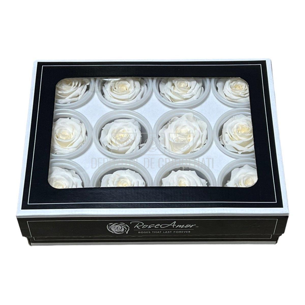 Trandafiri Criogenati S CHA-89 (Ø3-4cm, set 12 buc /cutie) - DepozituldeCriogenati.ro