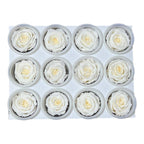 Trandafiri Criogenati S CHA-89 (Ø3-4cm, set 12 buc /cutie) - DepozituldeCriogenati.ro