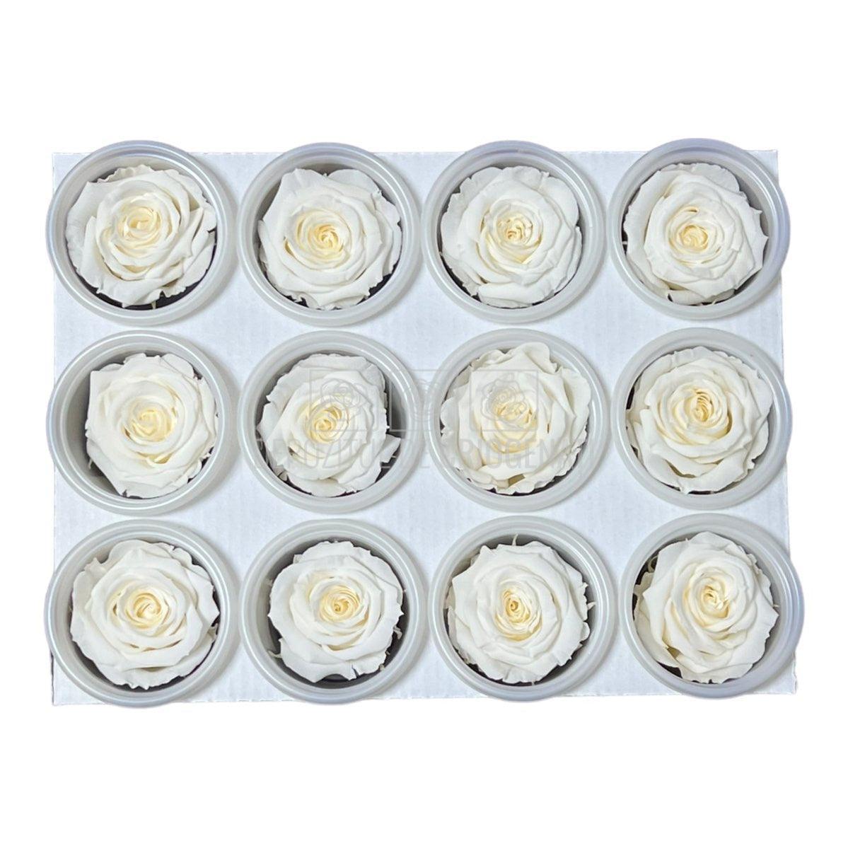 Trandafiri Criogenati S CHA-89 (Ø3-4cm, set 12 buc /cutie) - DepozituldeCriogenati.ro