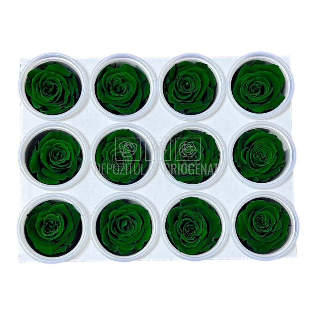 Trandafiri Criogenati S GRE-02 (Ø3-4cm, set 12 buc /cutie) - DepozituldeCriogenati.ro