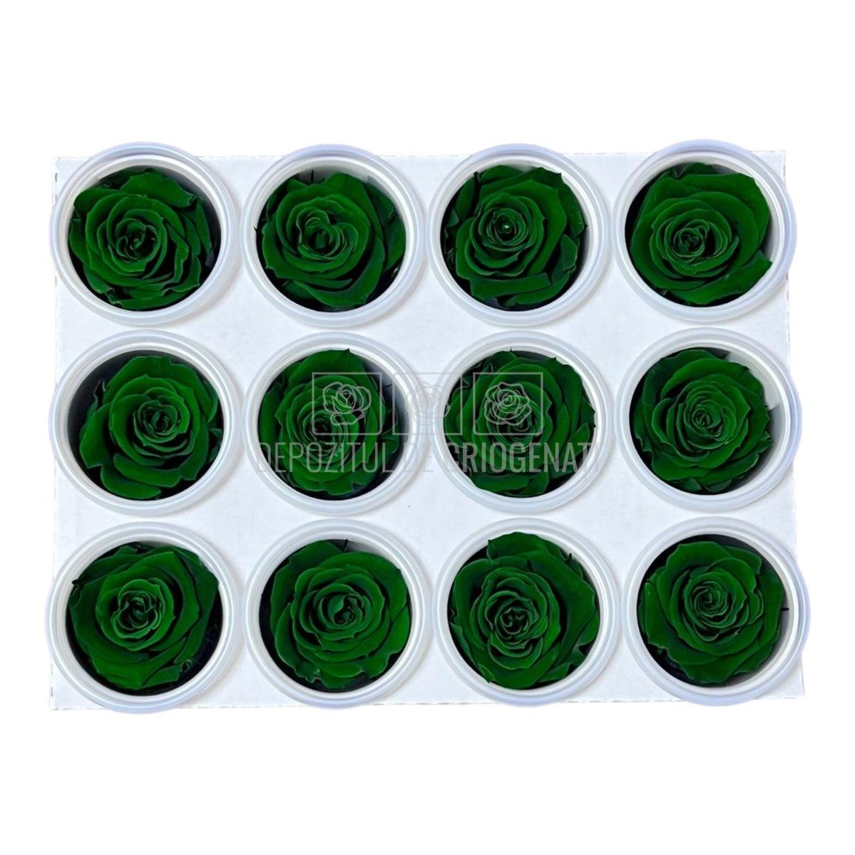Trandafiri Criogenati S GRE-02 (Ø3-4cm, set 12 buc /cutie) - DepozituldeCriogenati.ro