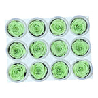 Trandafiri Criogenati S GRE-04 (Ø3-4cm, set 12 buc /cutie) - DepozituldeCriogenati.ro