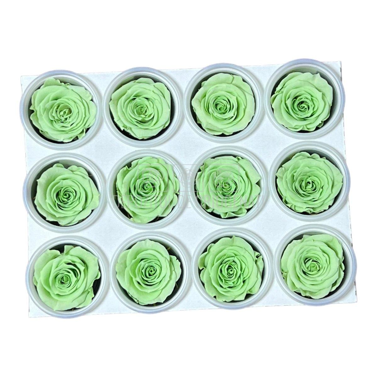 Trandafiri Criogenati S GRE-04 (Ø3-4cm, set 12 buc /cutie) - DepozituldeCriogenati.ro