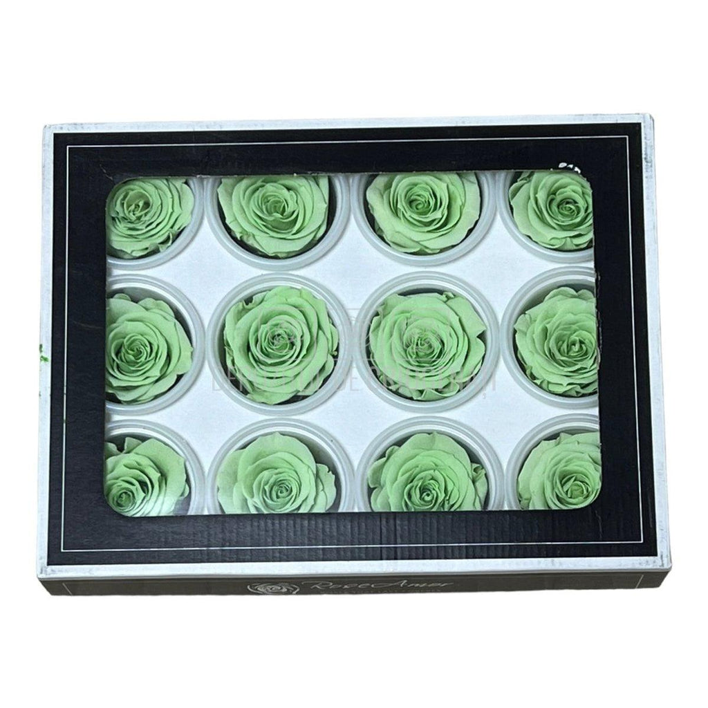 Trandafiri Criogenati S GRE-04 (Ø3-4cm, set 12 buc /cutie) - DepozituldeCriogenati.ro