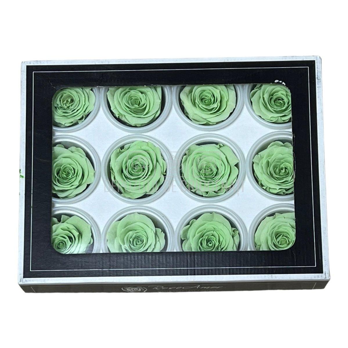 Trandafiri Criogenati S GRE-04 (Ø3-4cm, set 12 buc /cutie) - DepozituldeCriogenati.ro