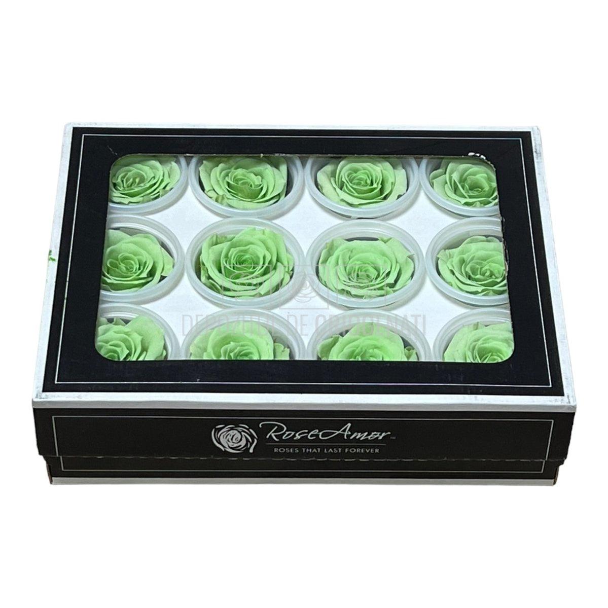 Trandafiri Criogenati S GRE-04 (Ø3-4cm, set 12 buc /cutie) - DepozituldeCriogenati.ro