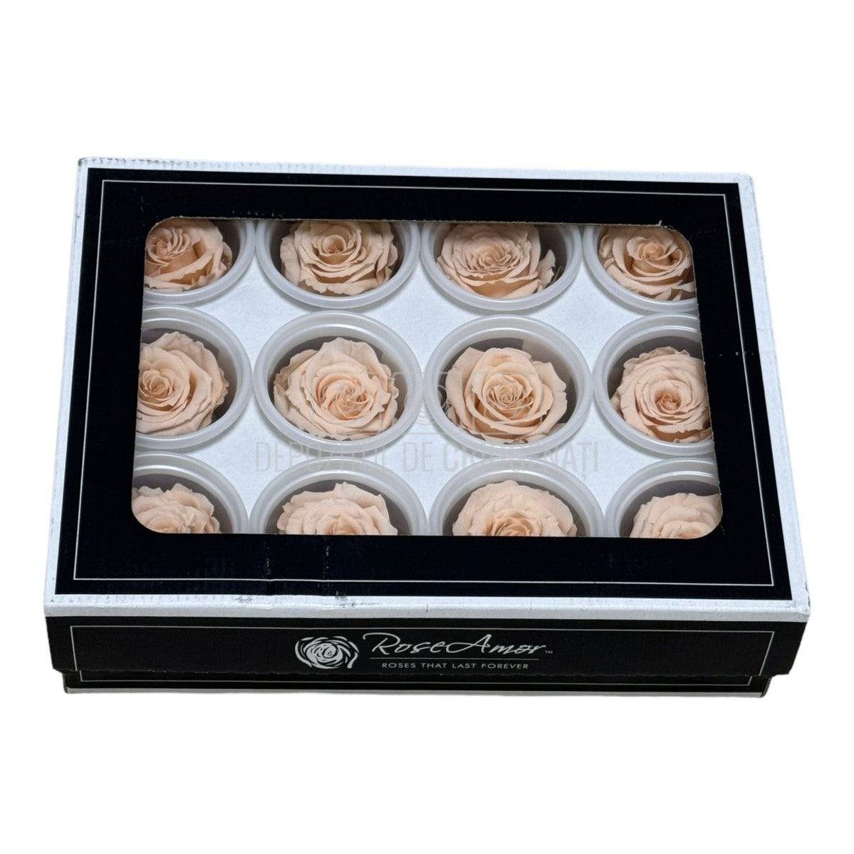 Trandafiri Criogenati S PEA-01 (dia. 3-4cm, set 12 buc /cutie)