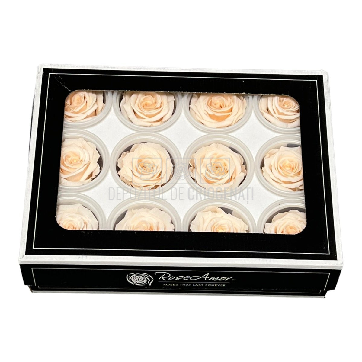 Trandafiri Criogenati S PEA-89 (Ø3-4cm, set 12 buc /cutie) - DepozituldeCriogenati.ro