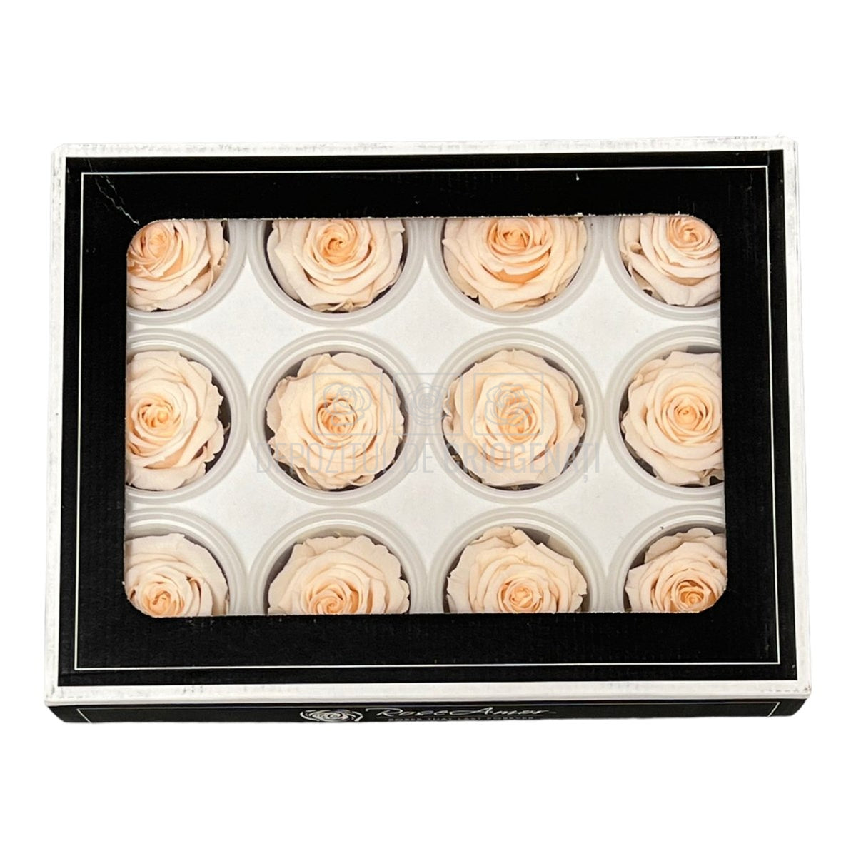 Trandafiri Criogenati S PEA-89 (Ø3-4cm, set 12 buc /cutie) - DepozituldeCriogenati.ro