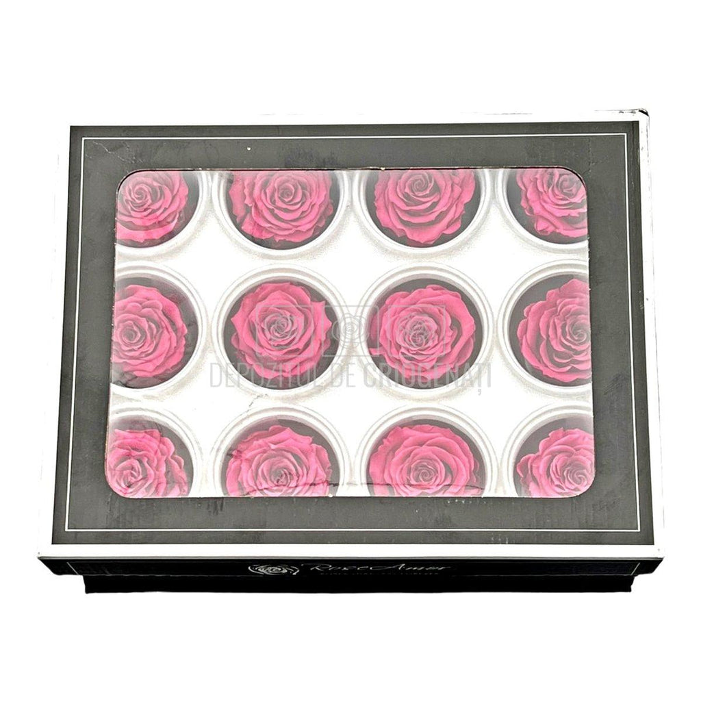 Trandafiri Criogenati S VIO-02 (Ø3-4cm, set 12 buc /cutie) - DepozituldeCriogenati.ro