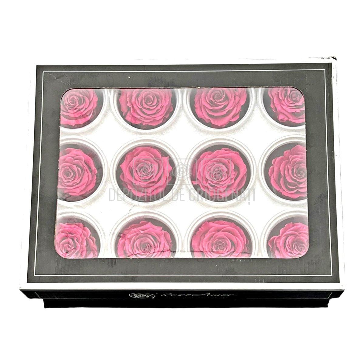 Trandafiri Criogenati S VIO-02 (Ø3-4cm, set 12 buc /cutie) - DepozituldeCriogenati.ro