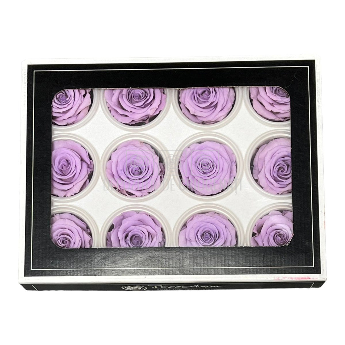 Trandafiri Criogenati S VIO-03 (Ø3-4cm, set 12 buc /cutie) - DepozituldeCriogenati.ro