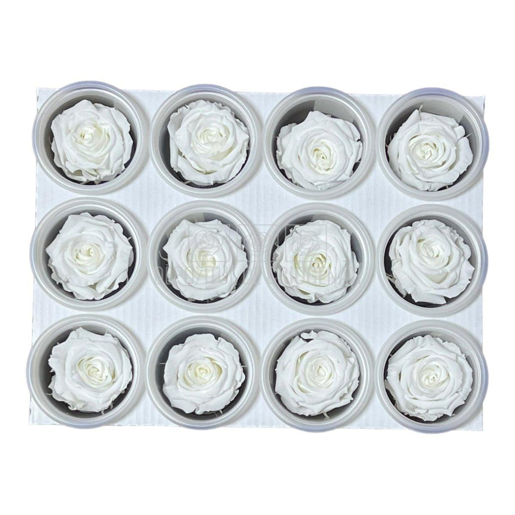 Trandafiri Criogenati S WHI-01 (Ø3-4cm, set 12 buc /cutie) - DepozituldeCriogenati.ro