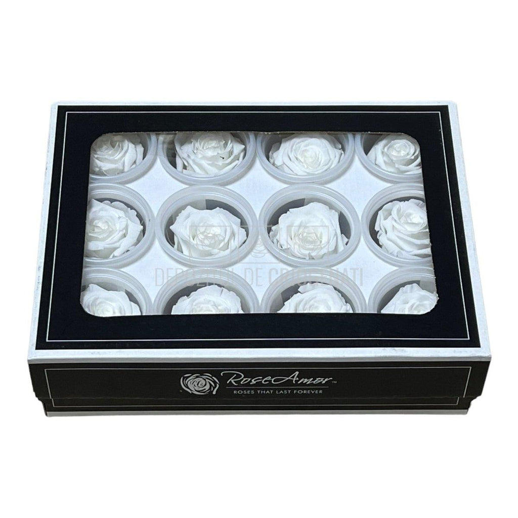 Trandafiri Criogenati S WHI-01 (Ø3-4cm, set 12 buc /cutie) - DepozituldeCriogenati.ro