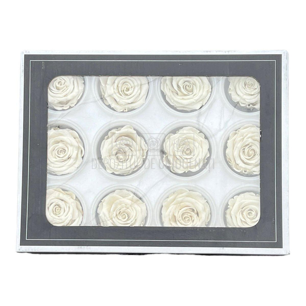 Trandafiri Criogenati S WHI-04 (Ø3-4cm, set 12 buc /cutie) - DepozituldeCriogenati.ro