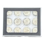 Trandafiri Criogenati S WHI-04 (Ø3-4cm, set 12 buc /cutie) - DepozituldeCriogenati.ro