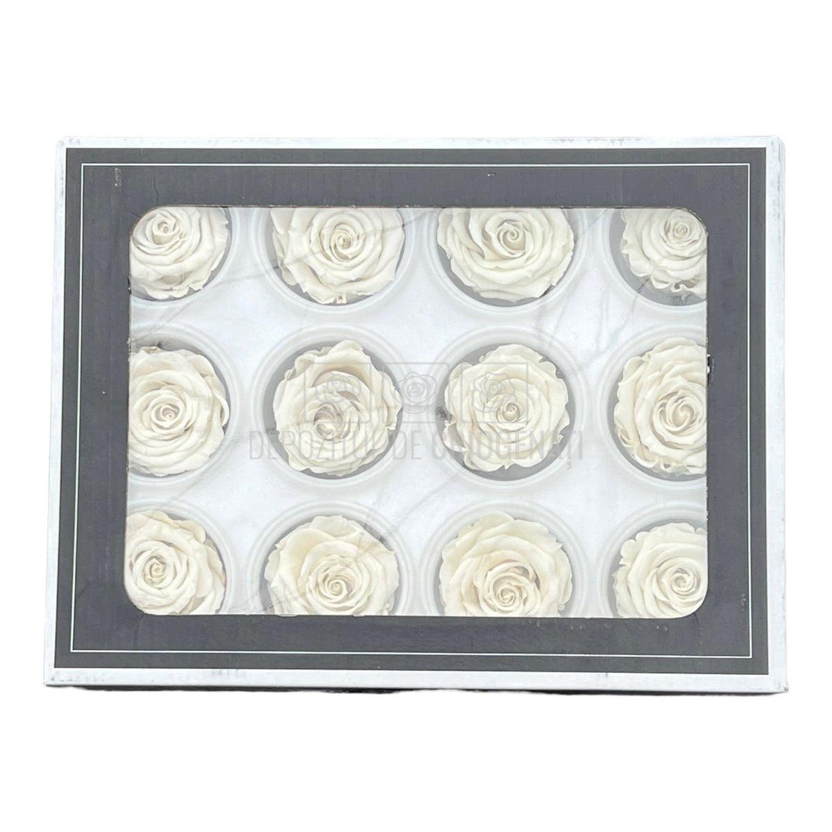 Trandafiri Criogenati S WHI-04 (Ø3-4cm, set 12 buc /cutie) - DepozituldeCriogenati.ro