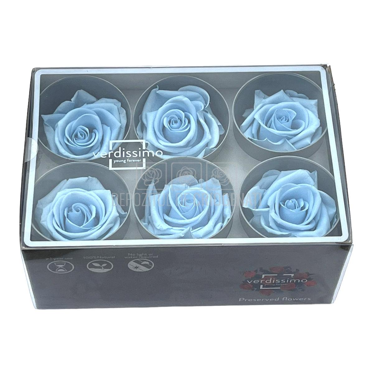 Trandafiri Criogenati STANDARD LIGHT BLUE (Ø5-5,5cm) - DepozituldeCriogenati.ro