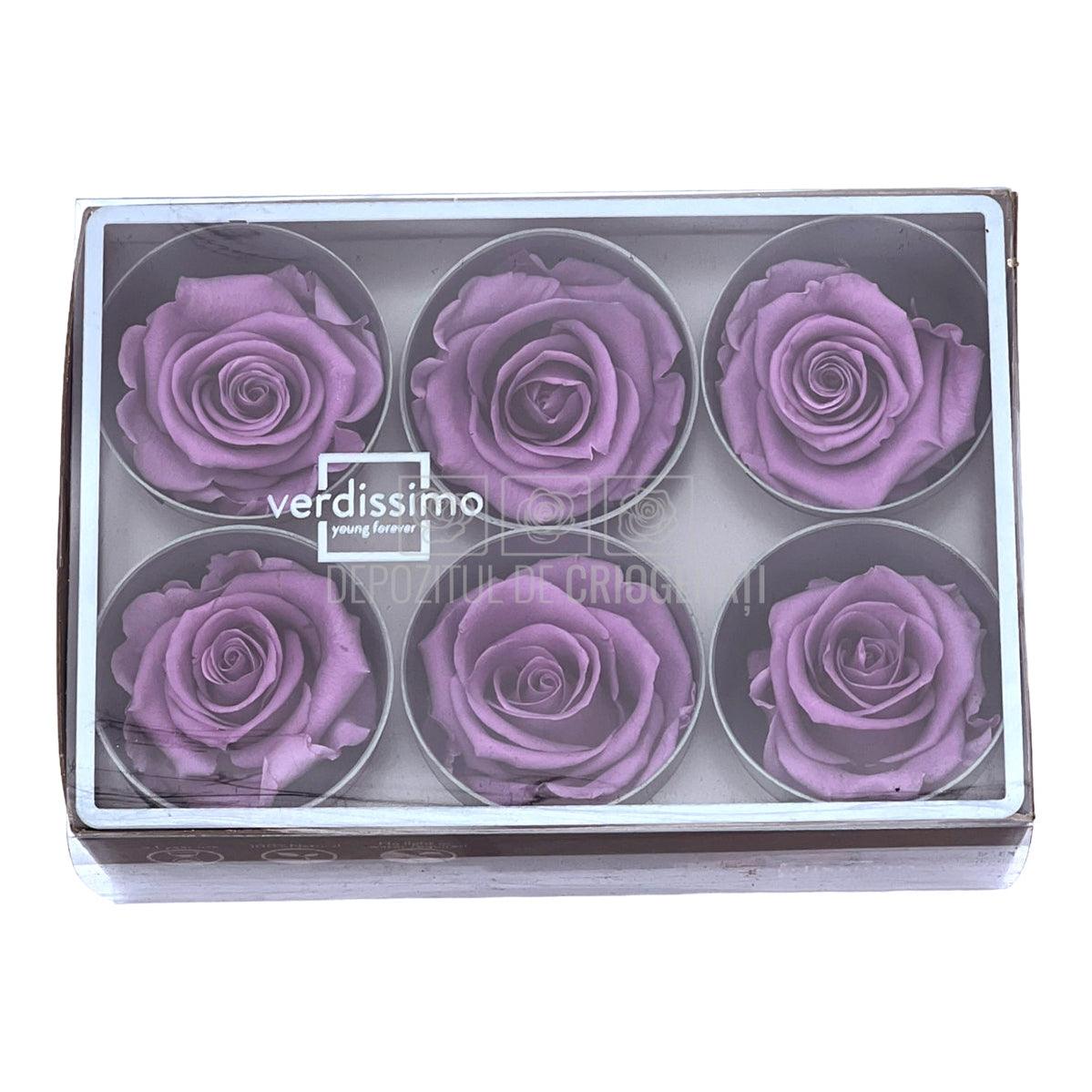 Trandafiri Criogenati STANDARD LILA (Ø5-5,5cm) - DepozituldeCriogenati.ro
