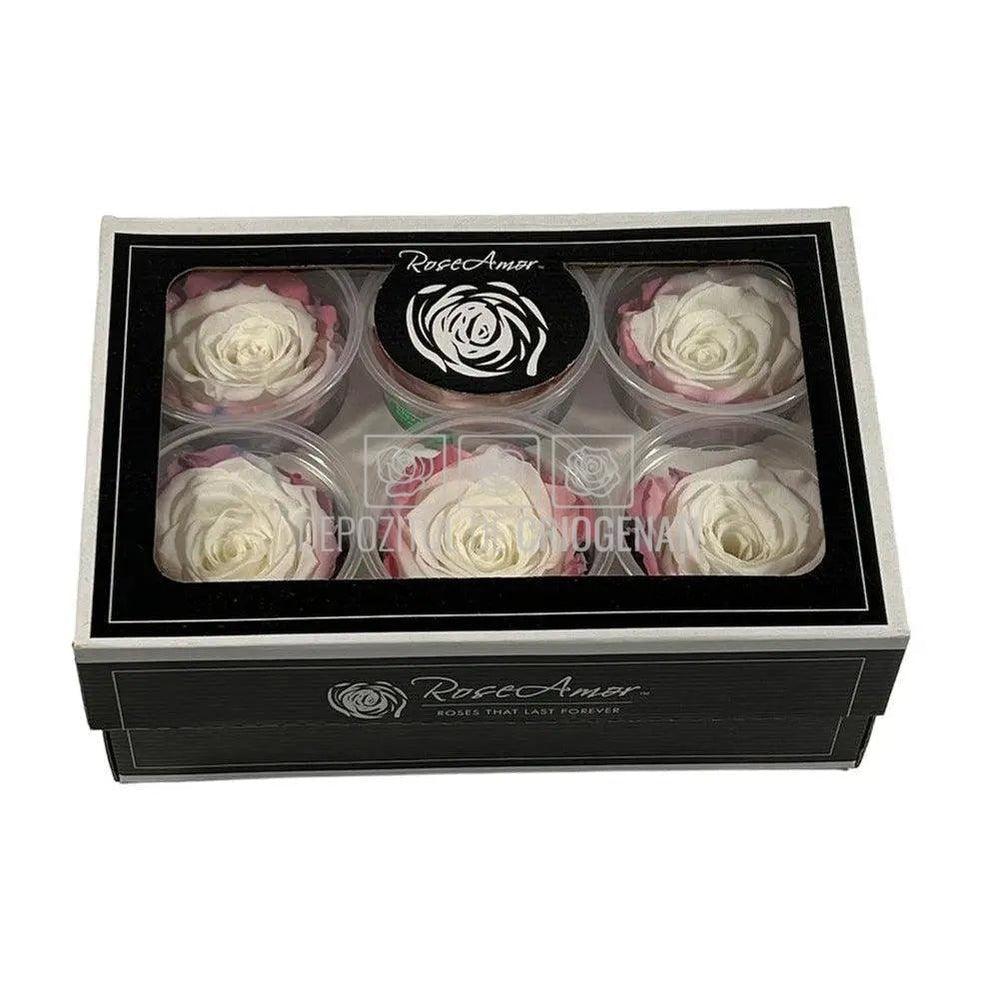 Trandafiri Criogenati XL BIC-60 (Ø6-6,5cm, set 6 buc /cutie) - DepozituldeCriogenati.ro