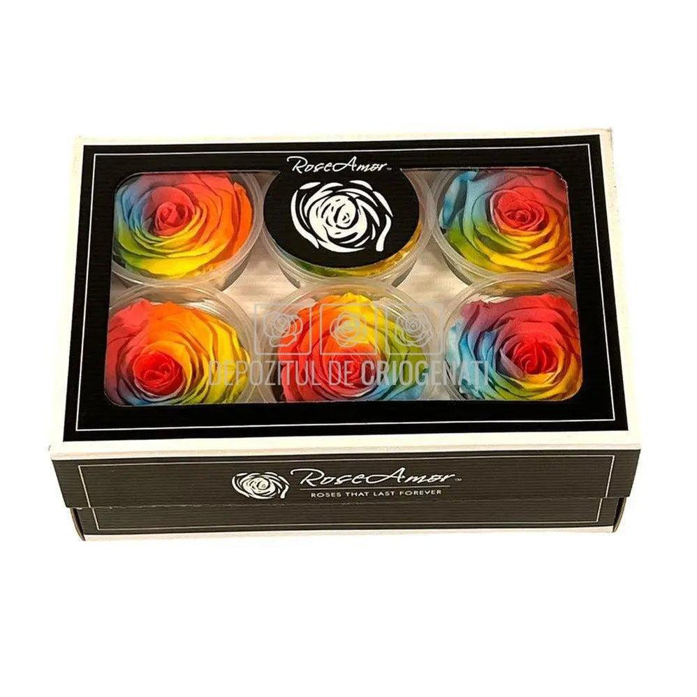 Trandafiri Criogenati XL BIC-61 (Ø6-6,5cm, set 6 buc /cutie) - DepozituldeCriogenati.ro