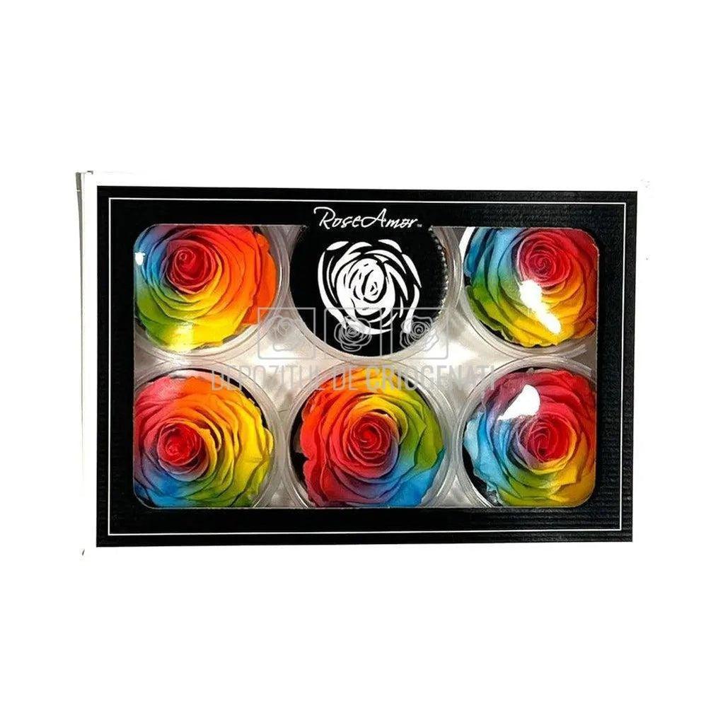 Trandafiri Criogenati XL BIC-61 (Ø6-6,5cm, set 6 buc /cutie) - DepozituldeCriogenati.ro
