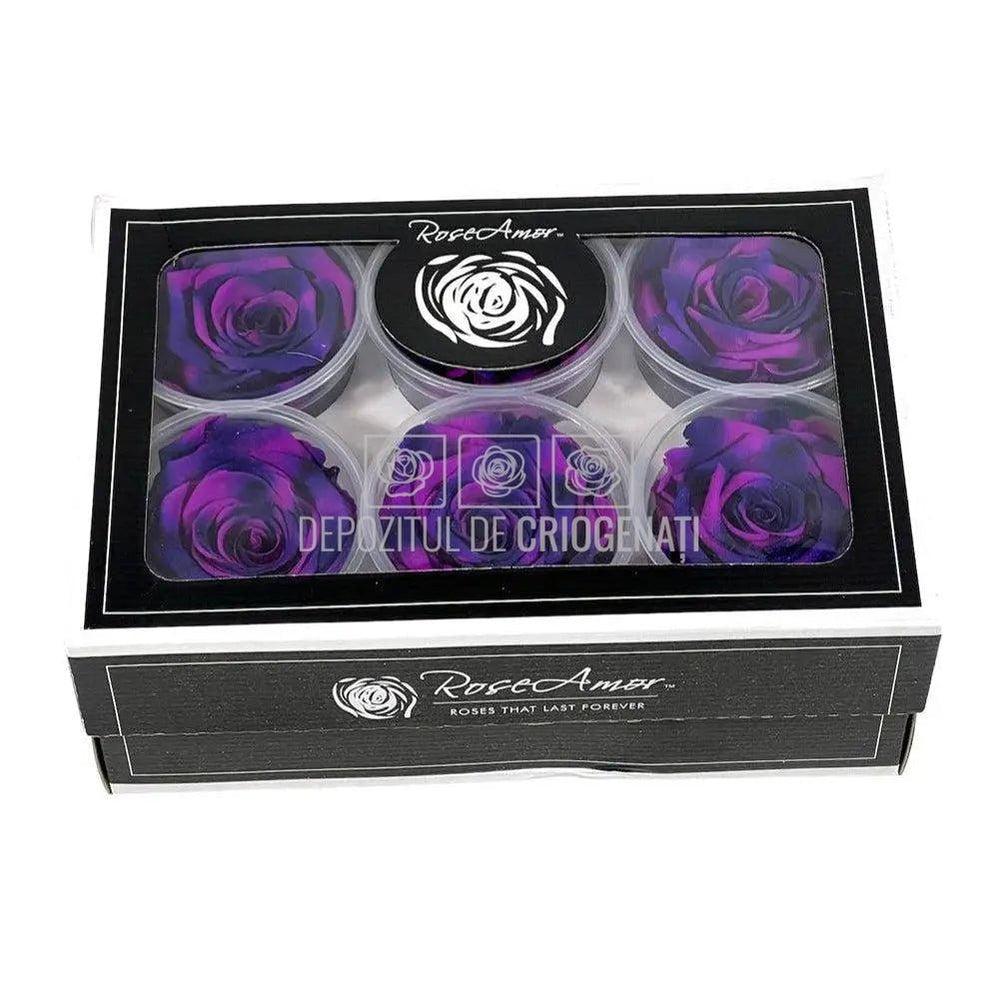 Trandafiri Criogenati XL BIC-65 (Ø6-6,5cm, set 6 buc /cutie) - DepozituldeCriogenati.ro